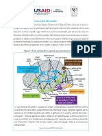 Lectura Camino de La Lectura A Través Del Cerebro - PDF Semana 2m2