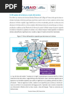 Lectura Camino de La Lectura A Través Del Cerebro - PDF Semana 2m2 PDF