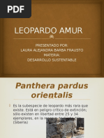 Leopardo Amur