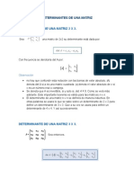 Determinantes de Una Matriz 