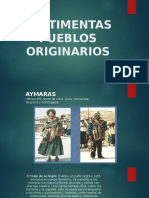 Vestimentas Pueblos Originarios