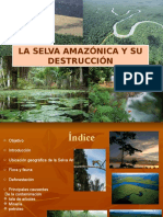 Contaminacion en La Selva Peruana