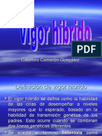 Vigor Hibrido