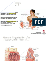 ANATOMI - Chapter23DigestivePart2Marieb