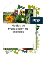 Medios de Propagación de Especies Vegetales