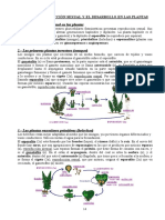 La Reproducción Sexual y El Desarrollo en Las Plantas