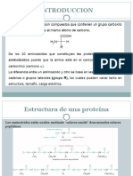 Diapositiva Aminoacidos