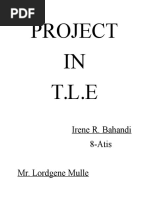 Project IN T.L.E: Irene R. Bahandi 8-Atis Mr. Lordgene Mulle