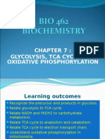 07 - Glycolysis, Tca Cycle and Oxidative Phosphorylation