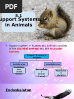 Support Systems in Animals