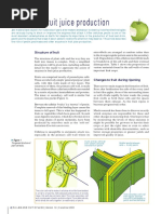 Enzymes in Fruit Juice Production