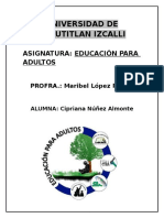 Educacion para Adultos Ensayo Temas 2 Adultos 46, 34