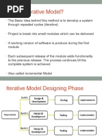 Iterative Model