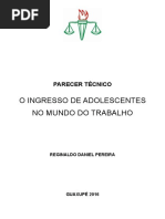 Parecer Técnico - O Ingresso de Adolescentes No Mundo Do Trabalho