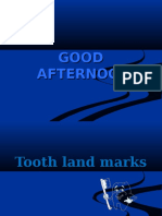 Tooth Landmarks 1