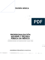 02 - Profesionalización Docente y Escuela Pública - ANT BÁSICA PDF