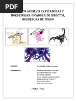 Monografia Primeros Auxilios en Picaduras y Mordeduras Picadura de Insectos Mordedura de Perro