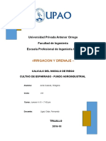 Informe Irrigaciones Cultivo Del Esparrago Fundoupao