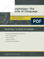 Morphology - PPT Edit