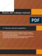 Diseño Del Trabajo Manual