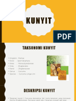 KUNYIT