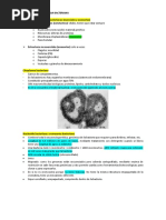 Clase 2