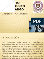 Cadenas y Catarinas Expo