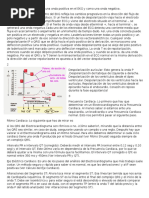 ECG Cuestionario Fisiologia