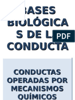 Bases Biológicas de La Conducta