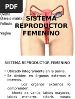 El Sistema Reproductor Femenino