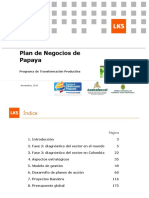 PLAN DE NEGOCIO PAPAYA Diciembre PDF