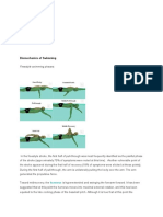 Biomechanics of Swimming