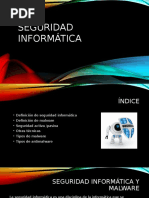 Seguridad Informatica