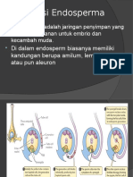 Endo Sperm A