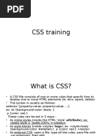 CSS Training