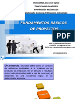 Fundamentos Basicos de Proyectos