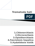 Trematoda Hati