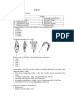 Soal Latihan Biologi