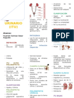 Insuficiencia Del Tracto Urinario - Triptico