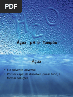 Aula 4 - Água PH e Tampão