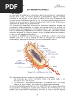 5 Bacterias Fitopatógenas