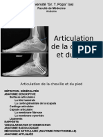 Articulation Du Cheville