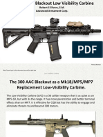 300 Aac BLK An Overview PDF