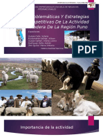 Diapositivas de Exposicion Actividad Ganadera de La Region Puno Realidad Nacional