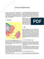 Reticul Endoplasmatic