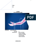 Informe de Laboratorio de Fisiología Electrocardiograma (EMG)