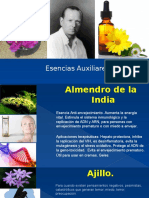 Esencias Auxiliares