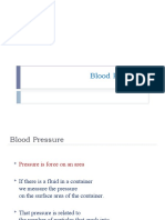 Blood Pressure Regulation Mechanisms