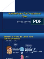 Metabolismo Fosfo-Calcico e Nutrição