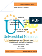 Unidad 1 Trabajo Colaborativo - Diseño de Proyectos Sociales